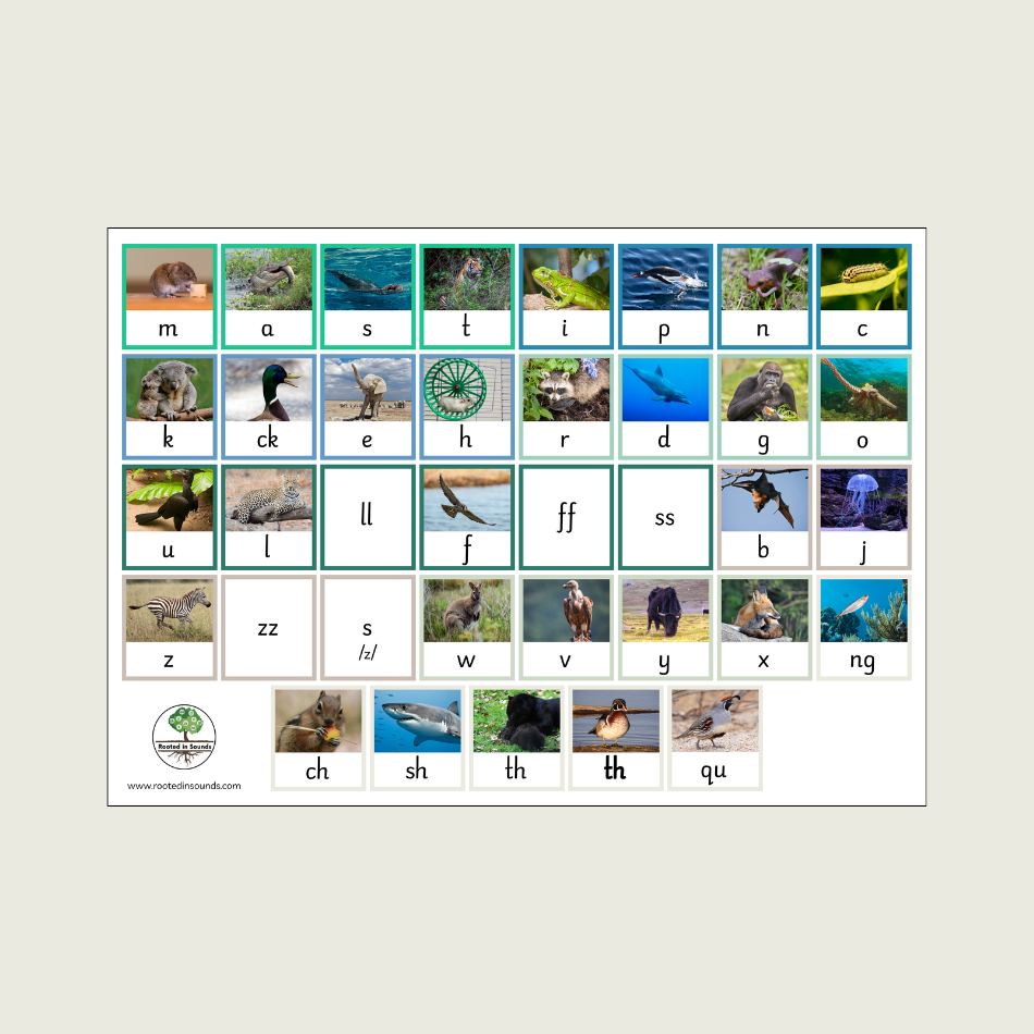 Essentials Package - Beginners Programme - Image 8