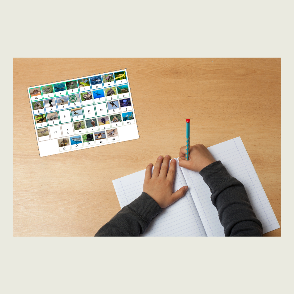 Essentials Package - Beginners Programme - Image 9