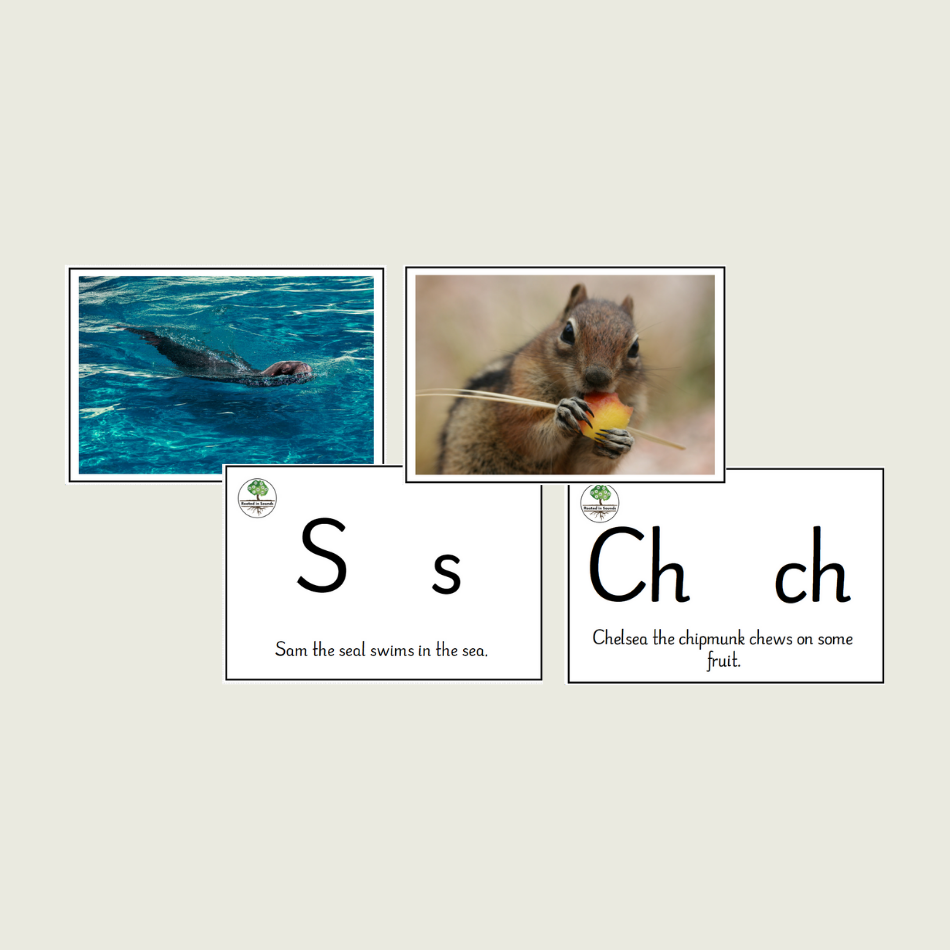 Essentials Package - Beginners Programme - Image 7